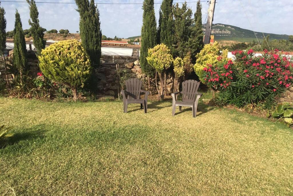 Apartamento Antonia Muy Cerca De La Playa 博罗尼亚 外观 照片